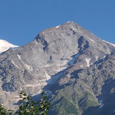 Beau Studio Dans La Vallee De Chamonix Les Trabets Eksteriør bilde
