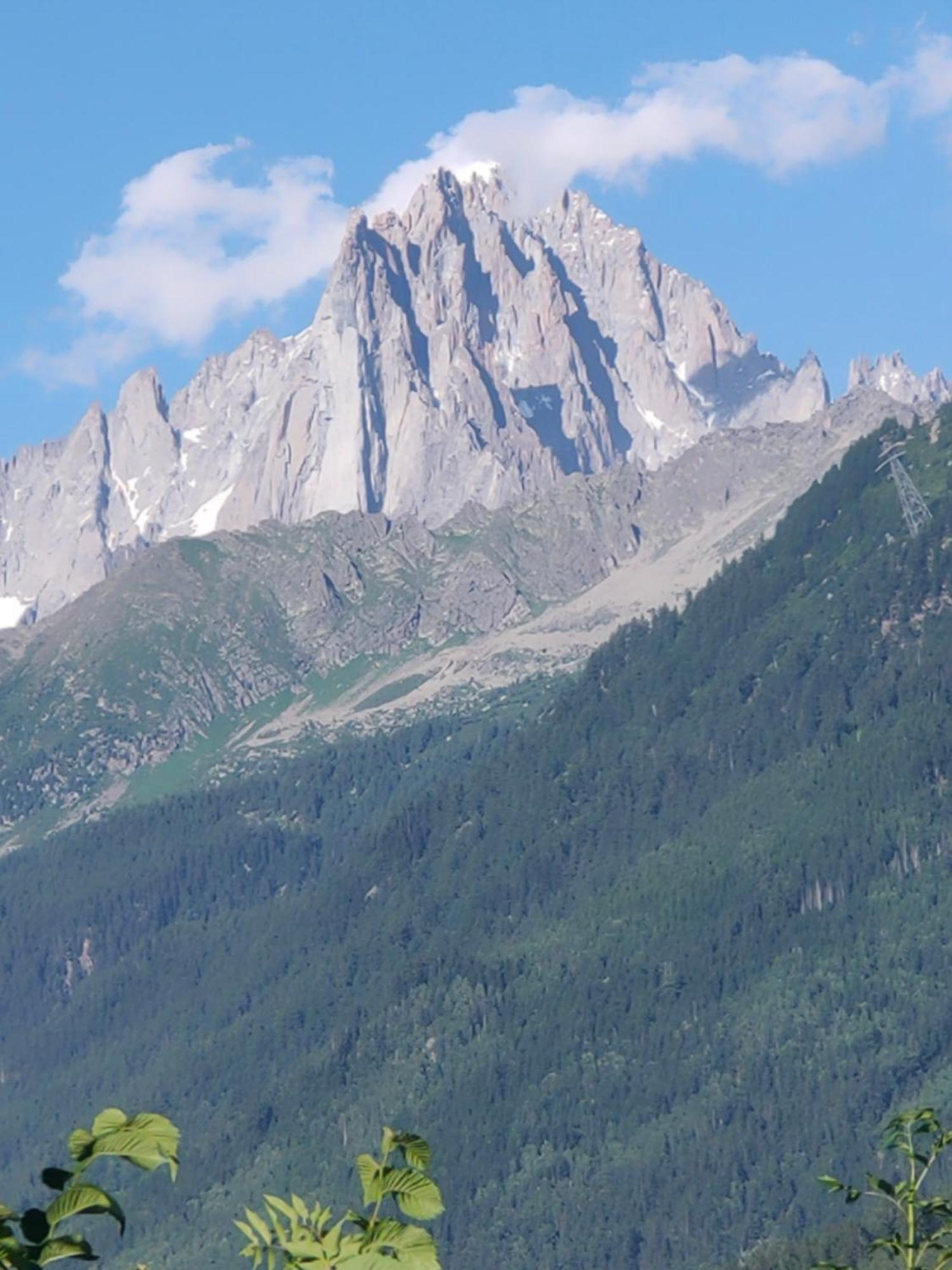 Beau Studio Dans La Vallee De Chamonix Les Trabets Eksteriør bilde
